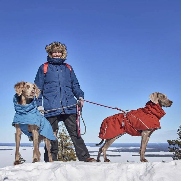 Теплая куртка для собак Hurtta Extreme Warmer III ECO Синий 50 33386 фото