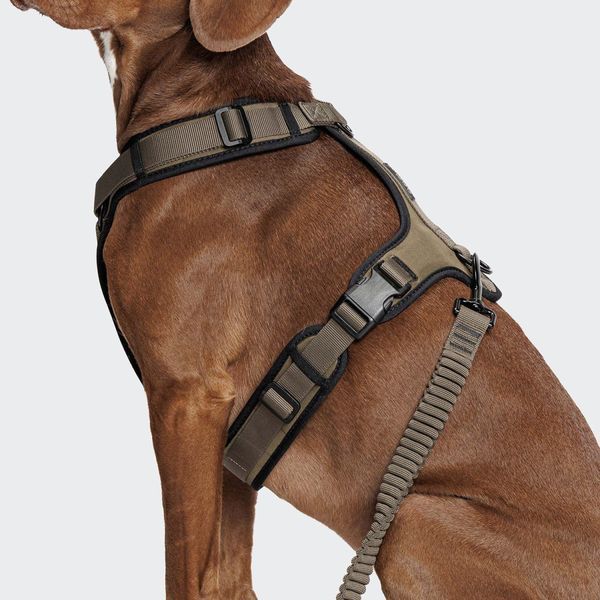 Y-подібна шлейка для собак Cloud7 Y-3 Harness AKTIV Оливковий XS 46274 фото