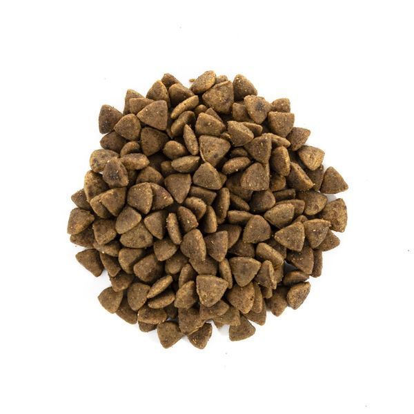 Корм сухий Brit Care Cat Grain Free Adult Activity Support для вуличних та дорослих котів філе індички та курки 400 г 1111162365 фото
