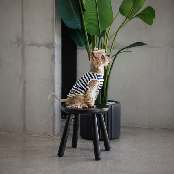 Майка Pet Fashion Tropic для собак М 1111225437 фото