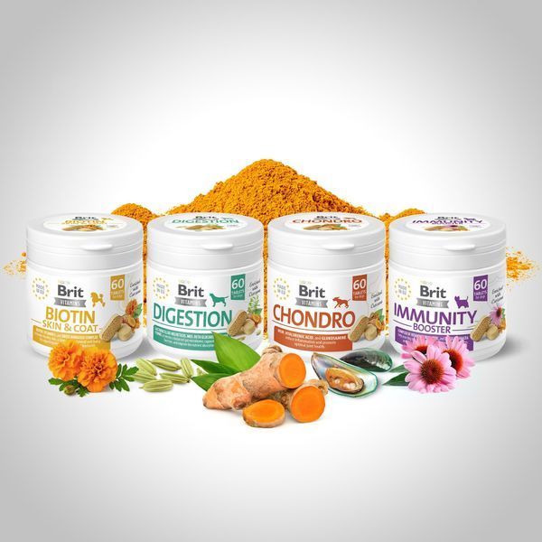 Вітаміни Brit Vitamins Biotin Skin & Coat Care для собак для шкіри та шерсті 60 таблеток 1111187085 фото