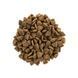Корм сухий Brit Care Cat Grain Free Adult Activity Support для вуличних та дорослих котів філе індички та курки 400 г 1111162365 фото 2