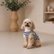 Майка Pet Fashion Tropic для собак М 1111225437 фото 6