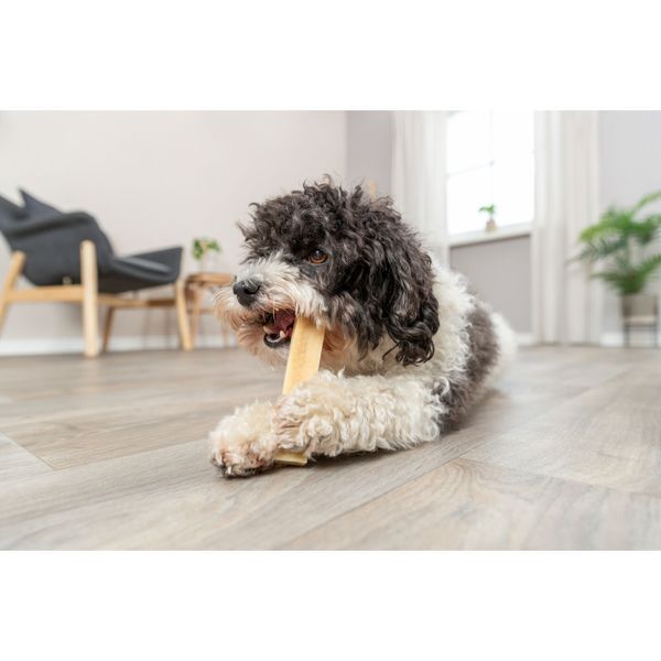 Ласощі Trixie Chewing cheese для собак, XS: 13.5 см, 30 г 1111190387 фото