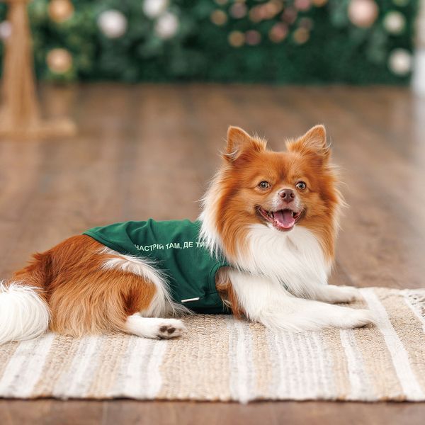Борцівка Kale ТМ Pet Fashion для собак XS зелена 1111197888 фото