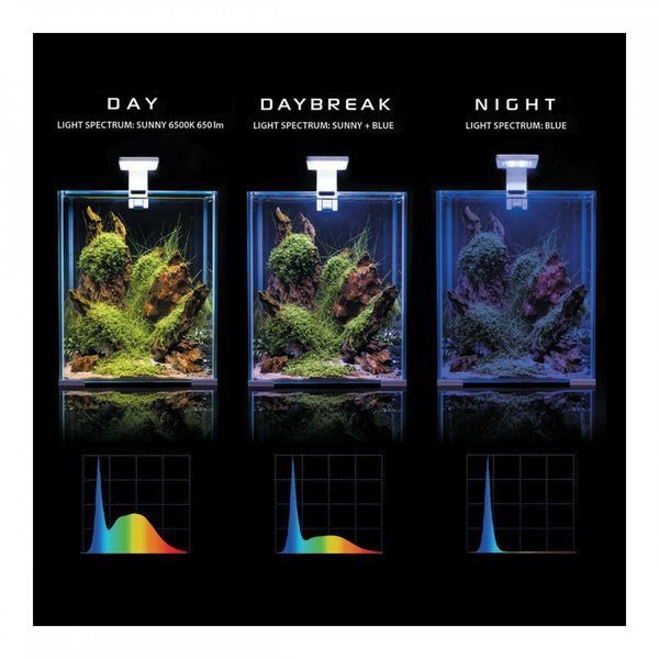 Акваріум Aquael Smart Day Night для креветок прямий білий 10 л 1111139141 фото