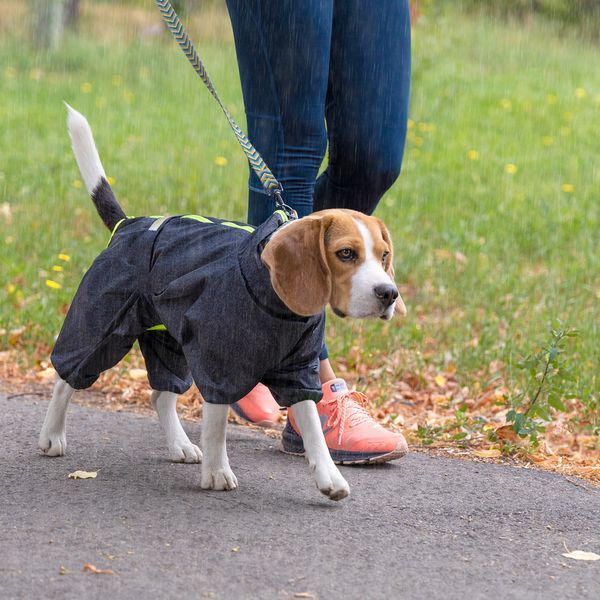 Комбінезон Pet Fashion RAIN для собак породи такса сірий M 1111167375 фото