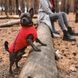 Жилет Pet Fashion E.Vest для собак червоний XS 1111166434 фото 4