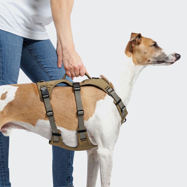 Y-подобная шлейка для собак Cloud7 Y-Safe-Harness AKTIV Серый/Хаки S 46276 фото