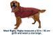Светр для собак Ruffwear Hemp Hound&trade; XXS Червоний 30401 фото 3