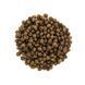 Корм сухий Brit Care Cat Grain Free Indoor Anti-stress для дорослих домашніх котів гіпоалергенний з куркою 2 кг 1111162367 фото 2