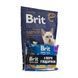 НАБІР Корм сухий Brit Premium Adult Salmon Sterilized д/котів лосось 1,5 кг + 4 паучі рибна тарілка 1111186560 фото 2