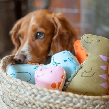 М'яка іграшка для собак Beco Pets Трицератопс Помаранчевий L 42151 фото