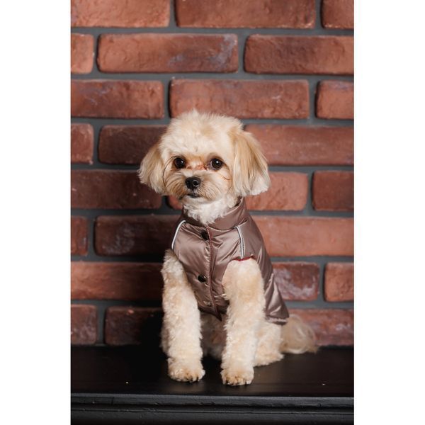 Жилет Pet Fashion Hardy для собак утеплений водонепроникний з отвором для повідця бежевий розмір S2 1111182494 фото