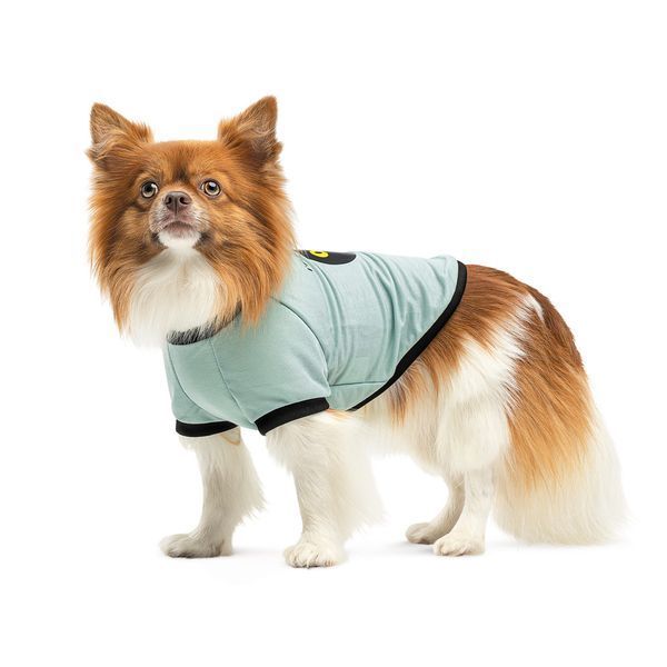 Футболка Pet Fashion Oscar для собак бавовна трикотаж рібана блакитна XXS 1111195203 фото
