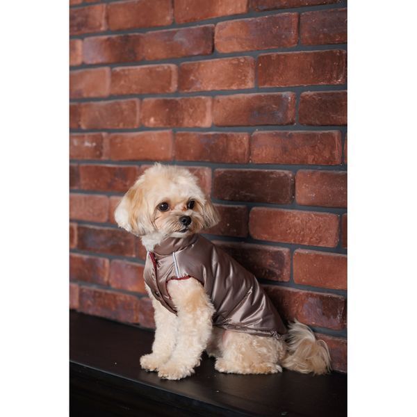 Жилет Pet Fashion Hardy для собак утеплений водонепроникний з отвором для повідця бежевий розмір S2 1111182494 фото