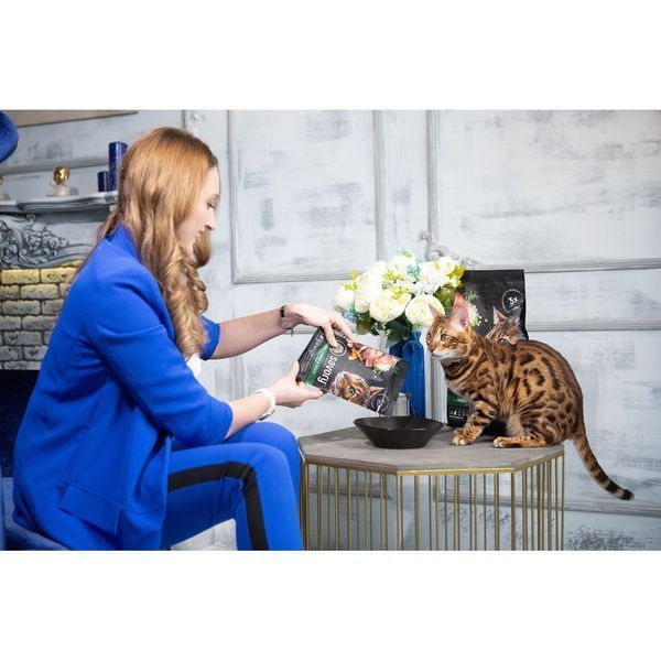 Корм сухий Savory Adult Cat Gourmand Fresh Turkey and Duck для дорослих котів зі свіжою індичкою і качкою 400 г 1111162997 фото