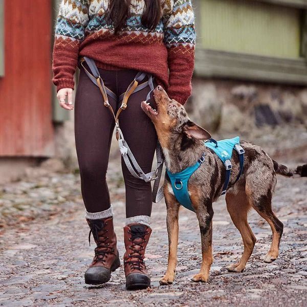Шлейка для собак Hurtta Safeguard Harness ECO Синий 75-95 42099 фото