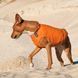 Жилет Pet Fashion E.Vest для собак помаранчевий XS 1111166450 фото 3