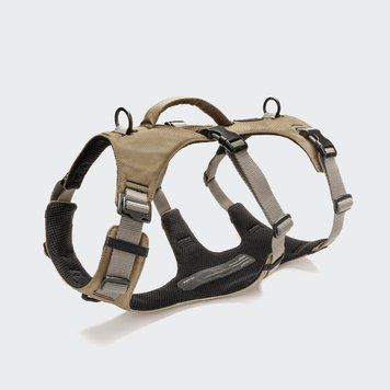 Y-подібна шлейка для собак Cloud7 Y-Safe-Harness AKTIV Сірий/Хаки L/XL 46277 фото