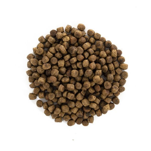 Корм сухий Brit Care Cat Grain Free Indoor Anti-stress для дорослих домашніх котів гіпоалергенний з куркою 400 г 1111162368 фото
