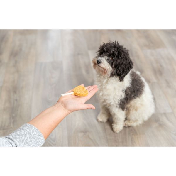 Ласощі Trixie PREMIO Lolly with chicken and rice, bulk для котів PREMIO Льодяник з куркою та рисом, ваговий, 10 см, 35 г_30 1111205924 фото
