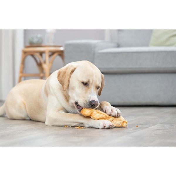 Ласощі Trixie Chewing cheese для собак, M: 13.5 см, 75 г 1111190389 фото
