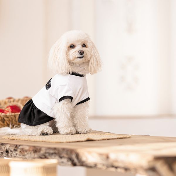 Сукня Chanti ТМ Pet Fashion для собак S 1111197913 фото