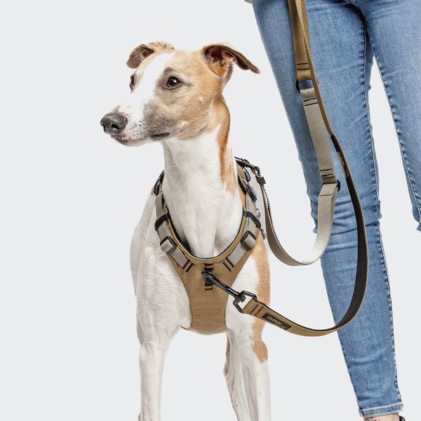 Y-подобная шлейка для собак Cloud7 Y-Safe-Harness AKTIV Серый/Хаки L/XL 46277 фото