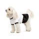 Сукня Chanti ТМ Pet Fashion для собак S 1111197913 фото 2