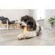 Ласощі Trixie Chewing cheese для собак, M: 13.5 см, 75 г 1111190389 фото 7