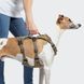 Y-подобная шлейка для собак Cloud7 Y-Safe-Harness AKTIV Серый/Хаки L/XL 46277 фото 4