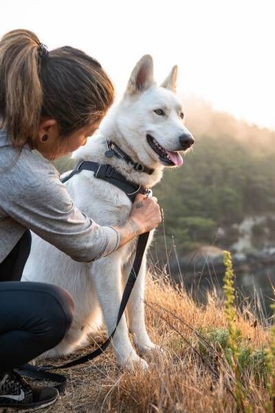 Повсякденний нашийник для собак Ruffwear Front Range&trade; 28-36 см Сірий 30653 фото