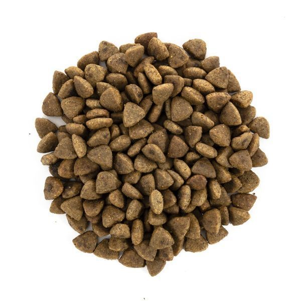 Корм сухий Brit Care Cat Grain Free Haircare Healthy and Shiny Coat для котів догляд за шкірою і шерстю лосось та курка 7 кг 1111162369 фото
