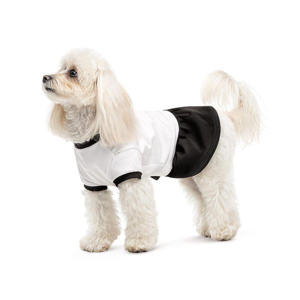 Сукня Chanti ТМ Pet Fashion для собак XS2 1111197914 фото