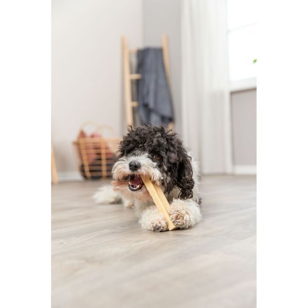 Ласощі Trixie Chewing cheese для собак, L: 13.5 см, 95 г 1111190390 фото