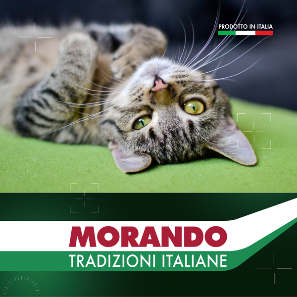 Сухий корм для котів Morando Tradizioni зі свининою, горохом та буряком 400 g 02765 фото
