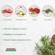 Сухий корм для котів Morando Tradizioni зі свининою, горохом та буряком 400 g 02765 фото 8