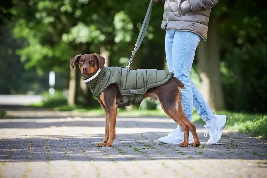 Теплая куртка для собак Wolters Cosy 40 см Оливковый 29633 фото