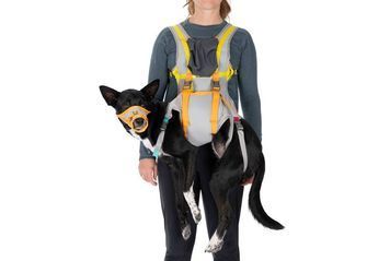 Набір для евакуації собаки Ruffwear BackTrak&trade; Сірий M 41903 фото