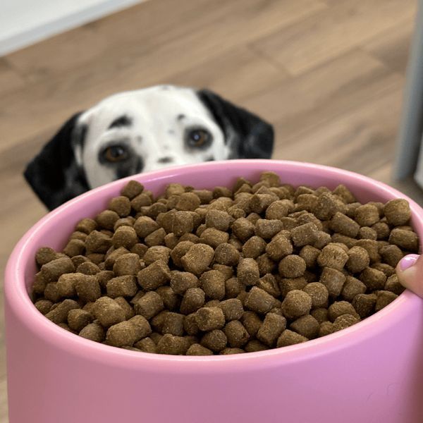 Миска из 100% переработанного пластика для собак Beco Pets Steady Bowls Розовый S 45565 фото