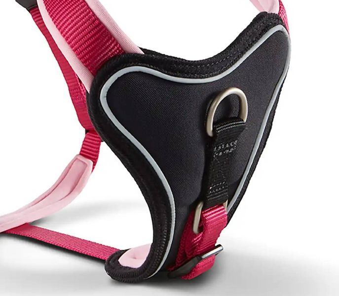 Шлейка для собак пом'якшена Wolters Professional Comfort 2 40-45 см / 25 мм Малиновий 28278 фото
