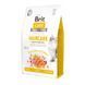 Корм сухий Brit Care Cat Grain Free Haircare Healthy and Shiny Coat для котів догляд за шкірою і шерстю лосось та курка 2 кг 1111162370 фото 1