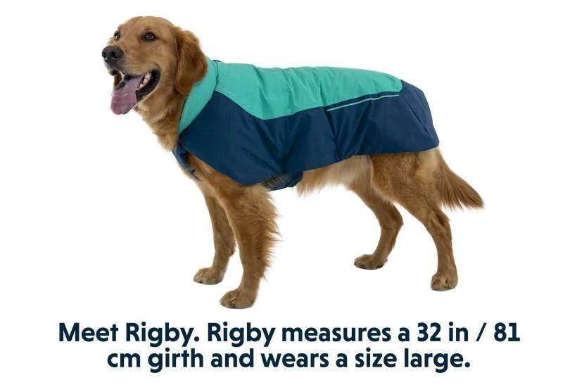 Водонепроникна куртка для собак Ruffwear Vert&trade; M Бірюзовий 30554 фото
