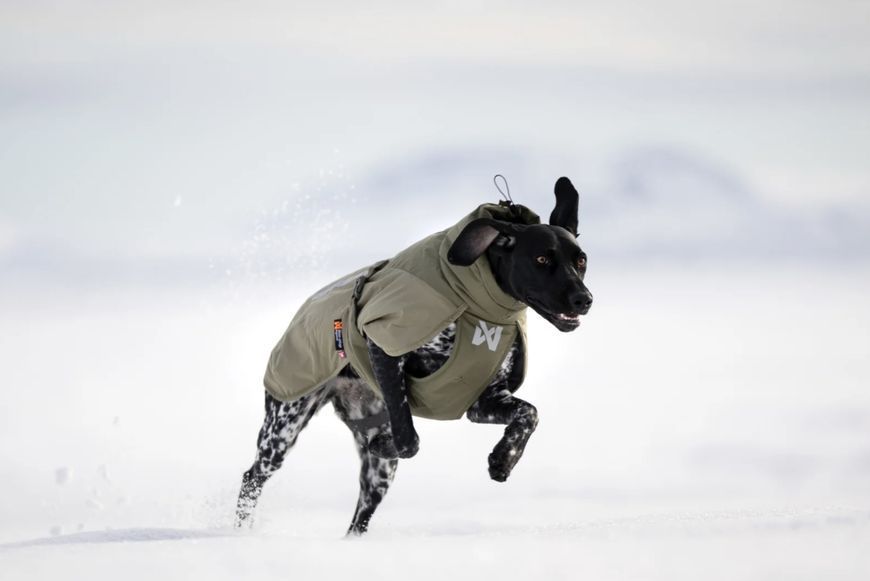 Зимняя куртка для собак Glacier wool jacket 3.0 Non-stop dogwear Зеленый 60 41103 фото