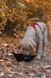 Складна миска для собак Trekking bowl Non-stop dogwear Чорний L 40516 фото 7