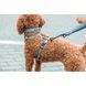 Шлея Trixie CityStyle H-harness для собак бавовна L&ndash;XL 75&ndash;120 см 25 мм світло-зелена 1111185223 фото 3