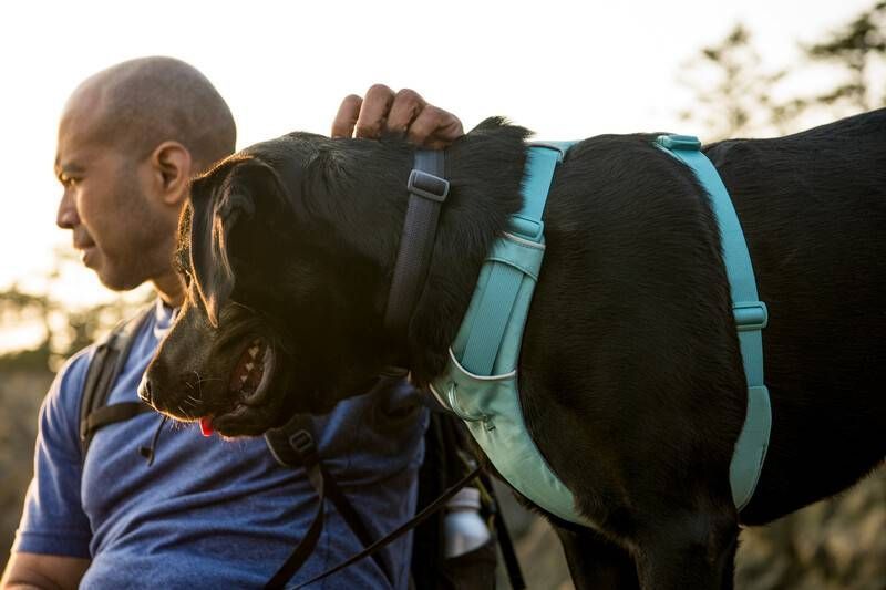 Повсякденний нашийник для собак Ruffwear Front Range&trade; 51-66 см Сірий 30655 фото