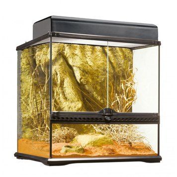 Тераріум ExoTerra для екзотичних тварин Natural Terrarium скляний 45x45x45 см 1111112585 фото
