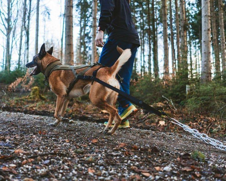 Кріплення для тягання Pulling attachment WD Non-stop dogwear Чорний 40517 фото
